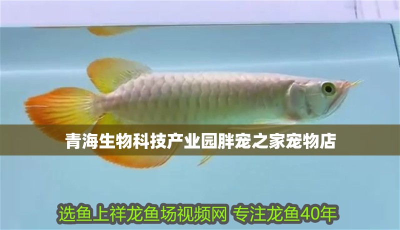 青海生物科技產業園胖寵之家寵物店