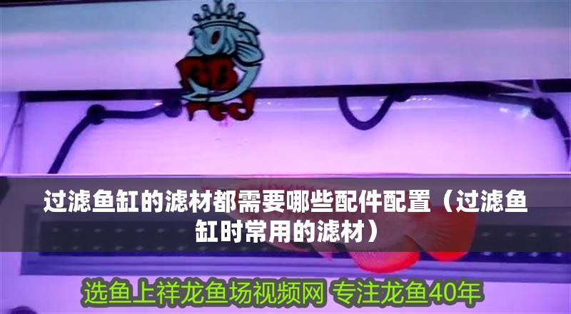 過濾魚缸的濾材都需要哪些配件配置（過濾魚缸時常用的濾材）