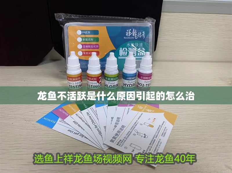 龍魚不活躍是什么原因引起的怎么治