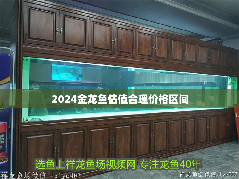 2024金龍魚估值合理價格區間