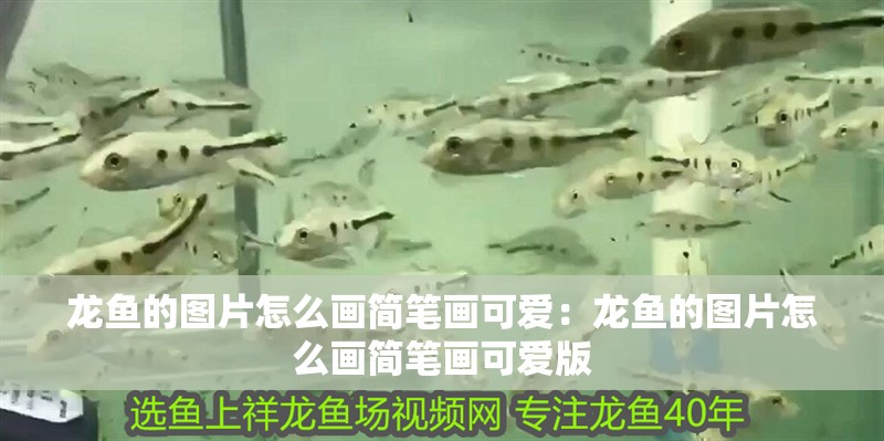 龍魚的圖片怎么畫簡筆畫可愛：龍魚的圖片怎么畫簡筆畫可愛版