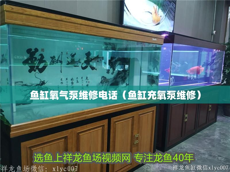 魚缸氧氣泵維修電話（魚缸充氧泵維修）