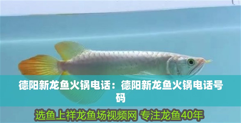 德陽新龍魚火鍋電話：德陽新龍魚火鍋電話號碼