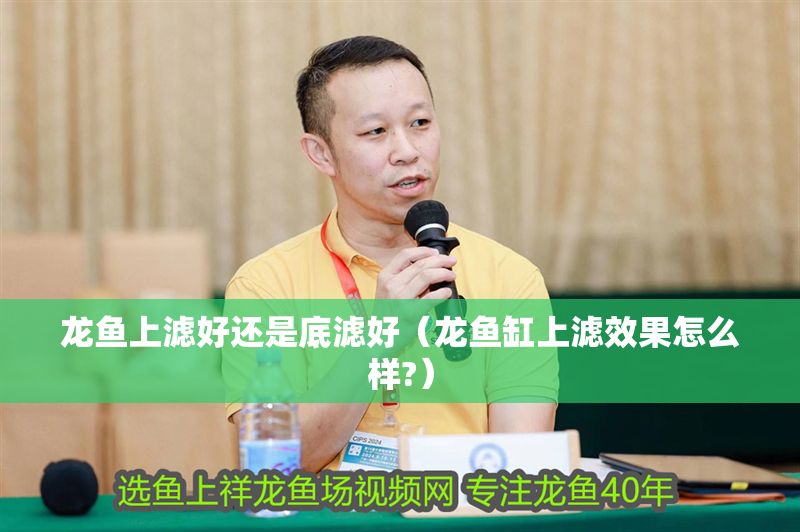 龍魚上濾好還是底濾好（龍魚缸上濾效果怎么樣?）