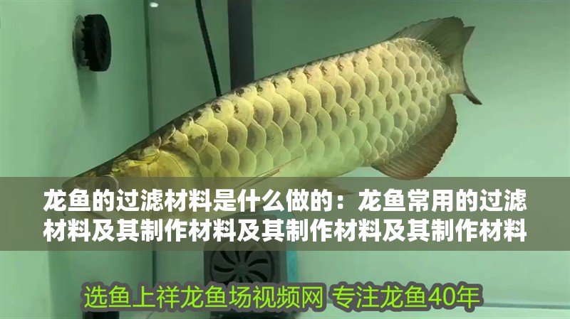 龍魚的過濾材料是什么做的：龍魚常用的過濾材料及其制作材料及其制作材料及其制作材料
