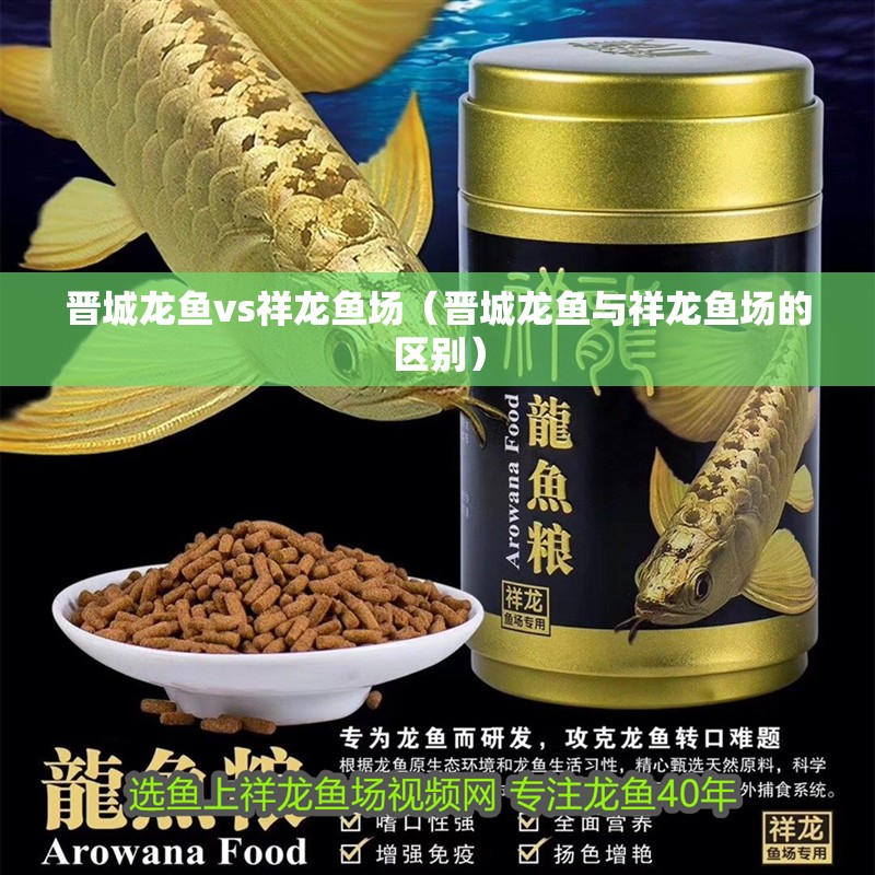 晉城龍魚vs祥龍魚場(晉城龍魚與祥龍魚場的區別)