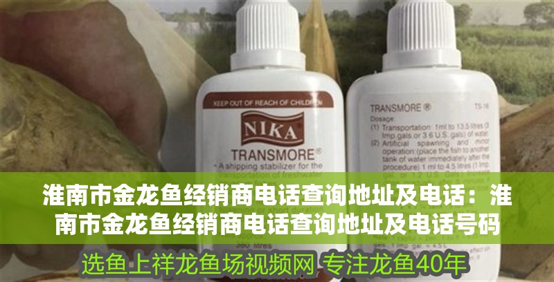 淮南市金龍魚經銷商電話查詢地址及電話：淮南市金龍魚經銷商電話查詢地址及電話號碼