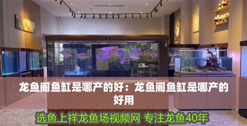龍魚閣魚缸是哪產的好：龍魚閣魚缸是哪產的好用
