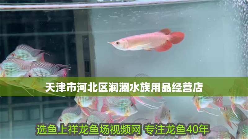 天津市河北區潤瀾水族用品經營店