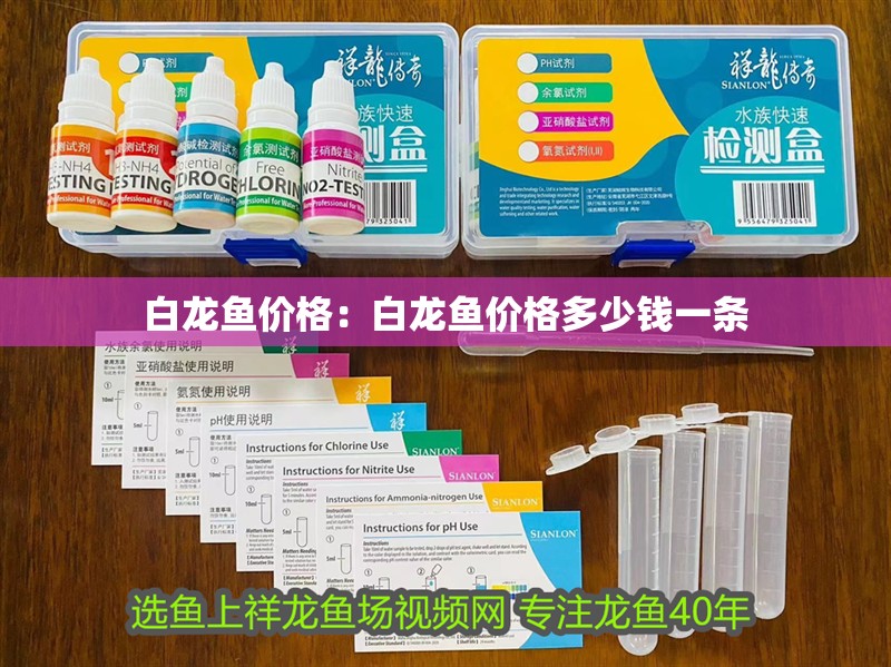 白龍魚(yú)價(jià)格：白龍魚(yú)價(jià)格多少錢(qián)一條