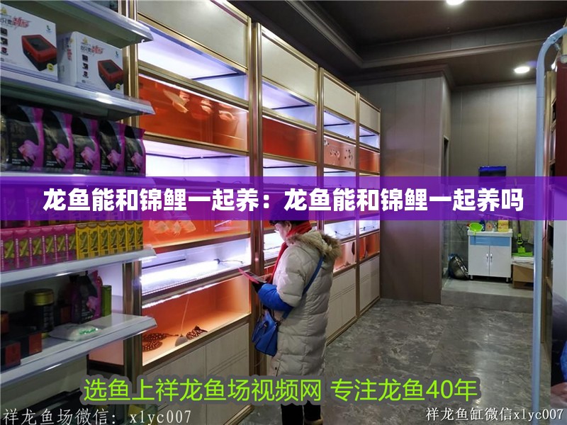 龍魚能和錦鯉一起養(yǎng)：龍魚能和錦鯉一起養(yǎng)嗎