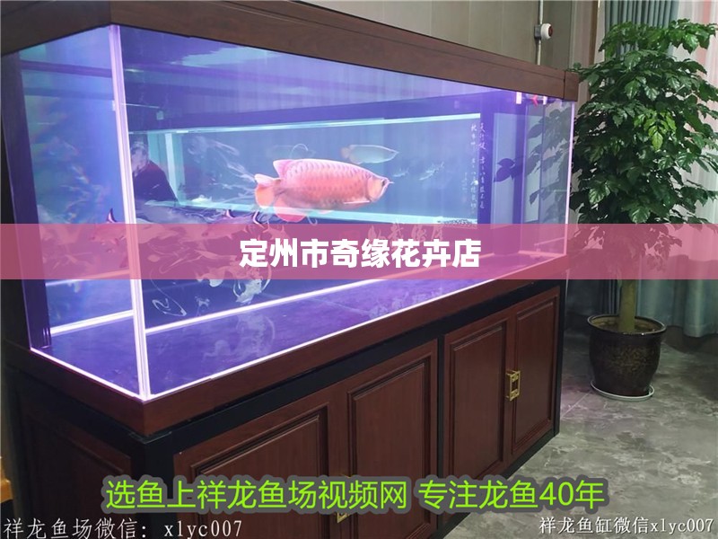 定州市奇緣花卉店