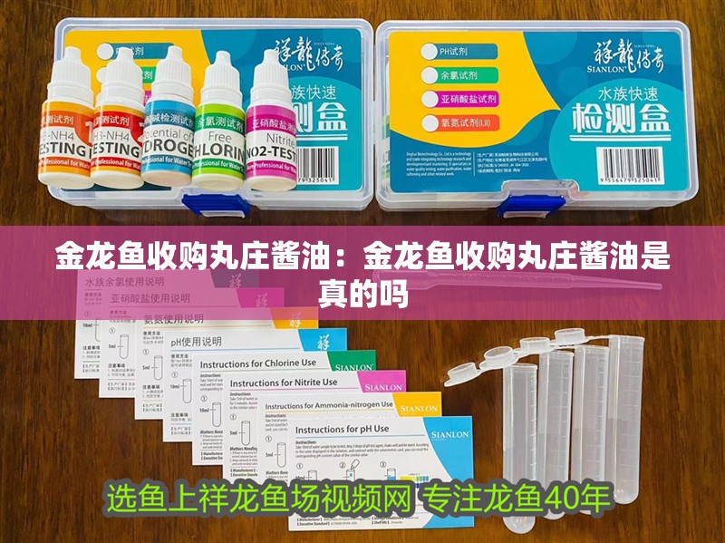 金龍魚收購丸莊醬油：金龍魚收購丸莊醬油是真的嗎