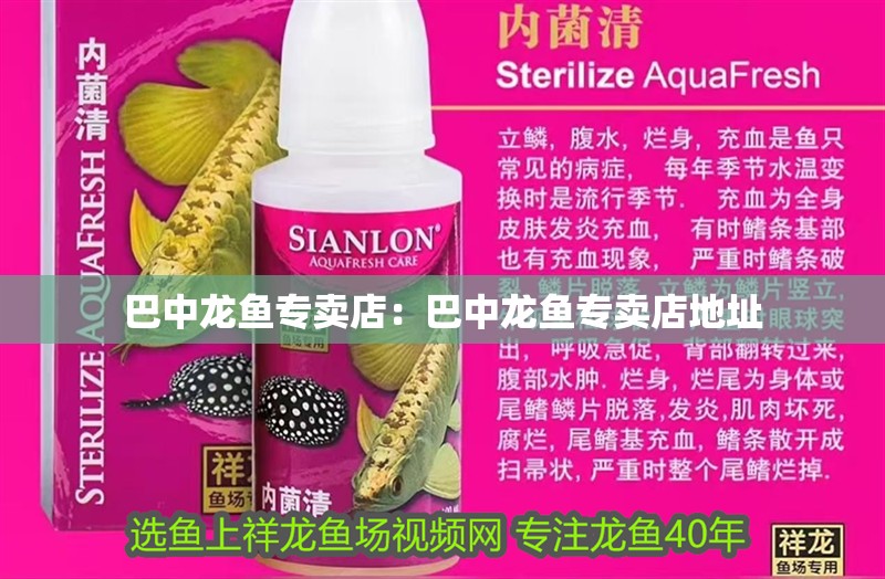 巴中龍魚專賣店：巴中龍魚專賣店地址