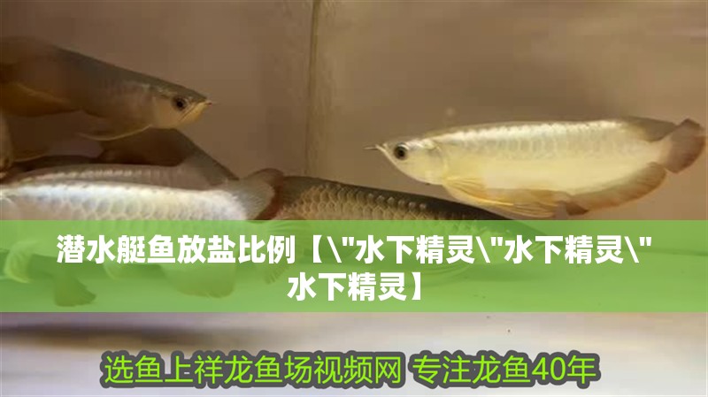 潛水艇魚放鹽比例【 潛水艇魚放鹽比例【\