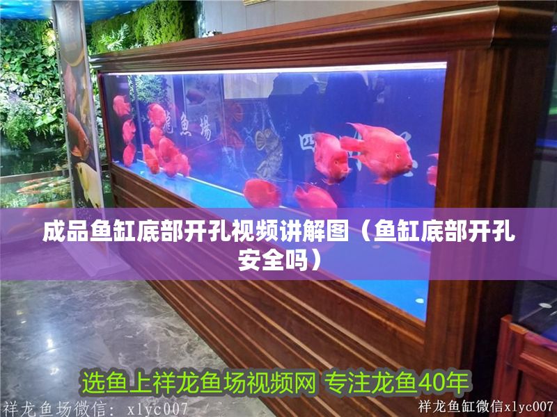 成品魚缸底部開孔視頻講解圖（魚缸底部開孔安全嗎） 成品魚缸底部開孔視頻講解圖（魚缸底部開孔安全嗎） 龍魚百科 第1張