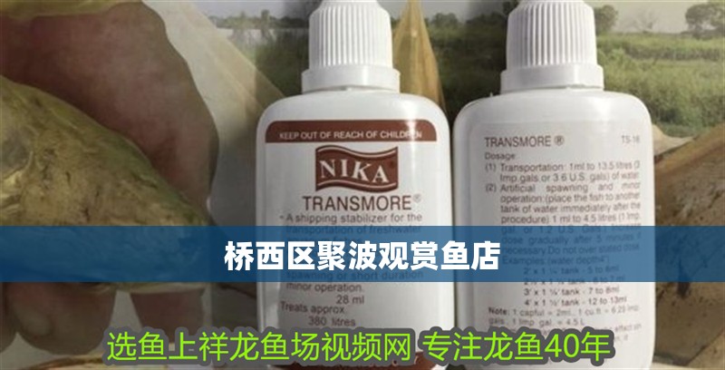橋西區聚波觀賞魚店
