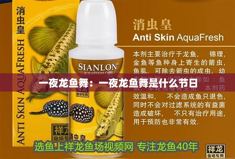 一夜龍魚舞：一夜龍魚舞是什么節日
