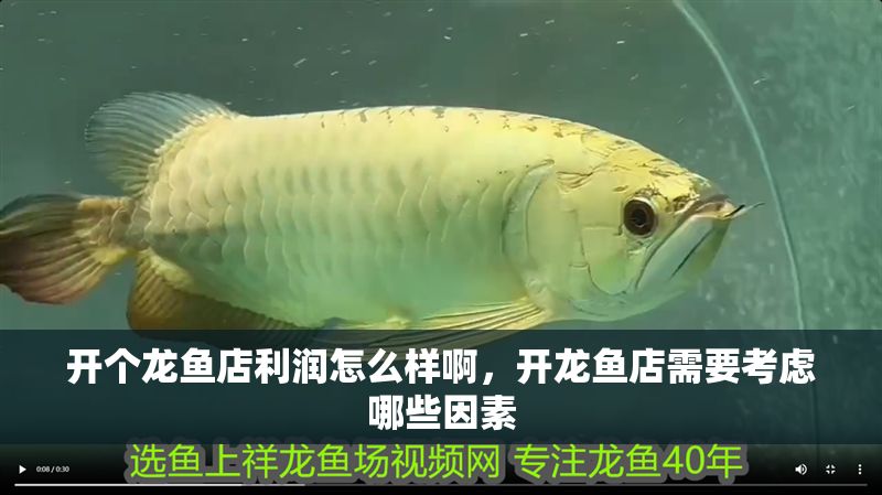 開個龍魚店利潤怎么樣啊，開龍魚店需要考慮哪些因素