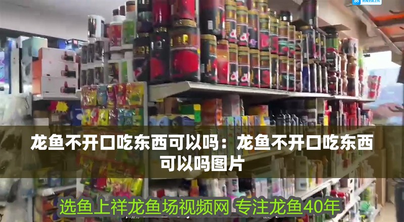 龍魚不開口吃東西可以嗎：龍魚不開口吃東西可以嗎圖片