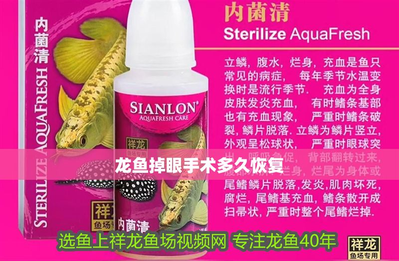 龍魚掉眼手術多久恢復
