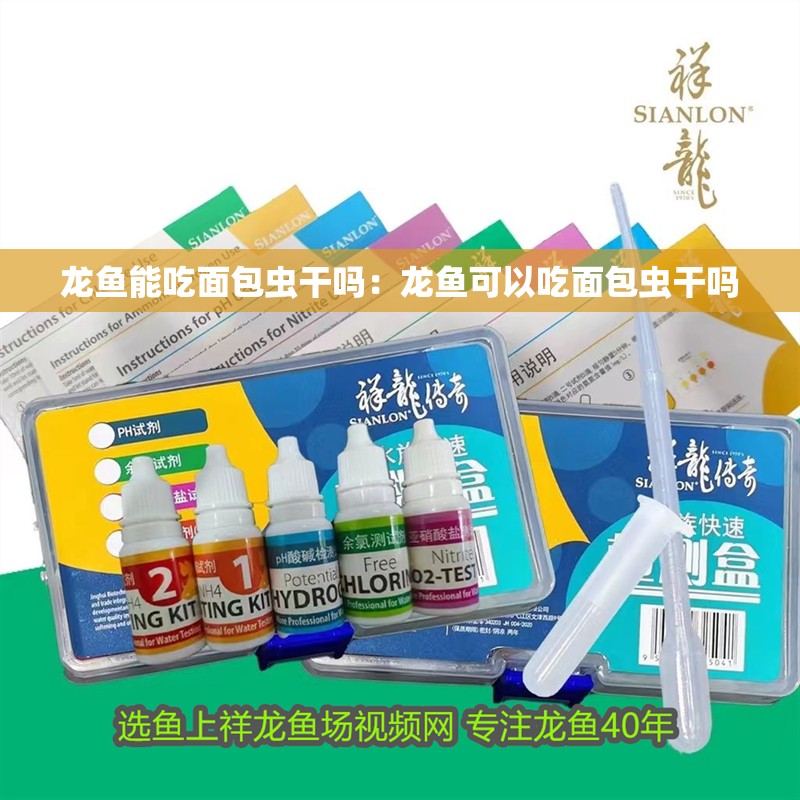 龍魚能吃面包蟲干嗎：龍魚可以吃面包蟲干嗎