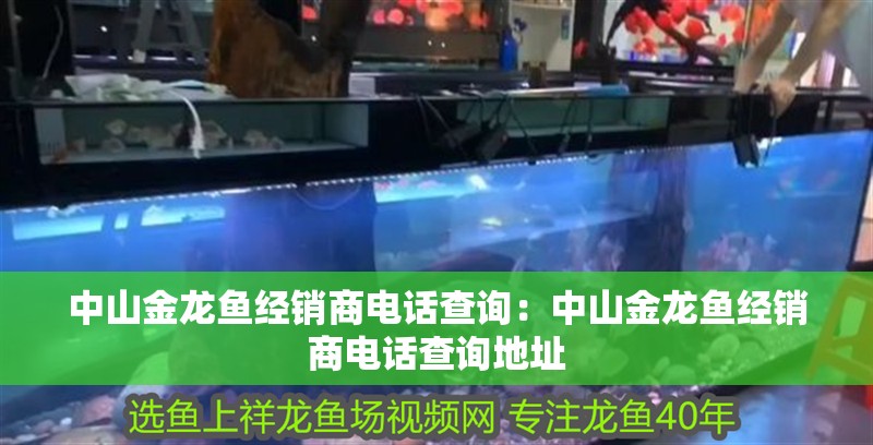 <strong><mark>中山</mark></strong>金龍魚經銷商電話查詢：<strong><mark>中山</mark></strong>金龍魚經銷商電話查詢地址