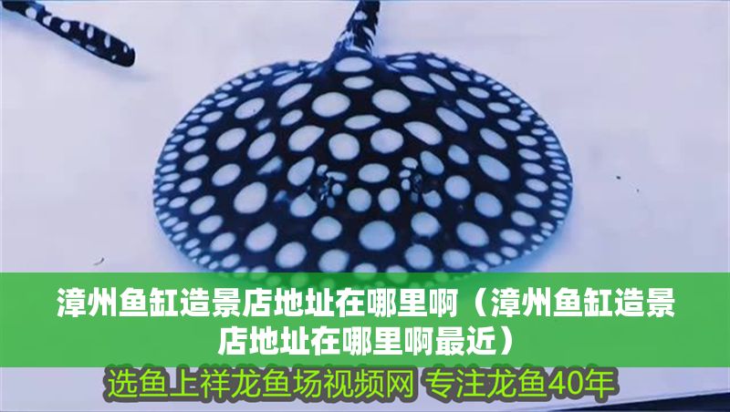 漳州魚缸造景店地址在哪里啊（漳州魚缸造景店地址在哪里啊最近）