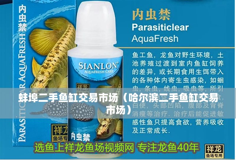 蚌埠二手魚缸交易市場（哈爾濱二手魚缸交易市場）