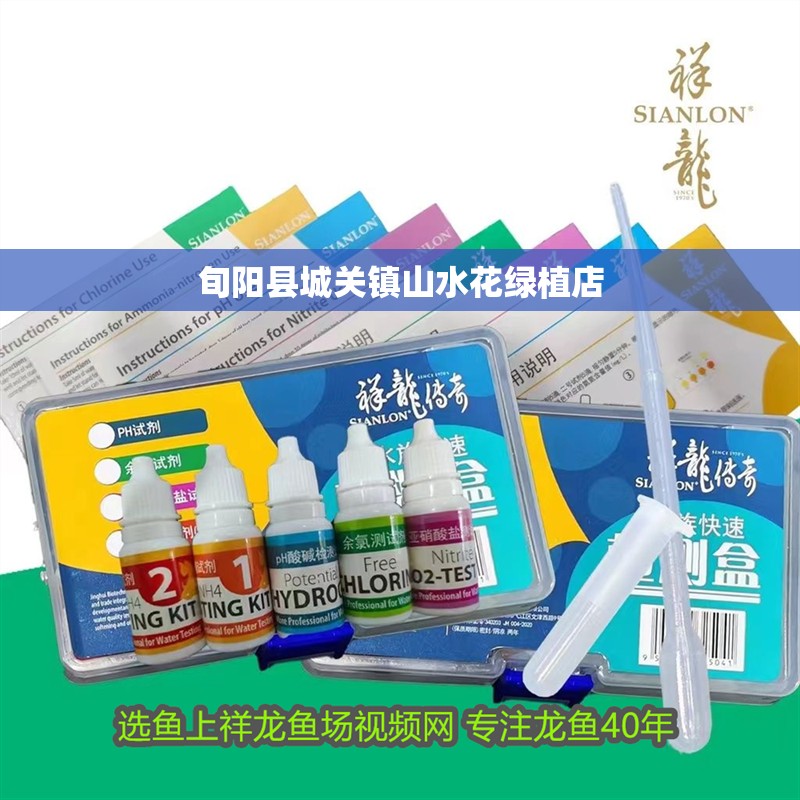 旬陽縣城關鎮山水花綠植店