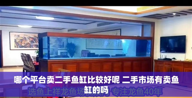 哪個平臺賣二手魚缸比較好呢 二手市場有賣魚缸的嗎