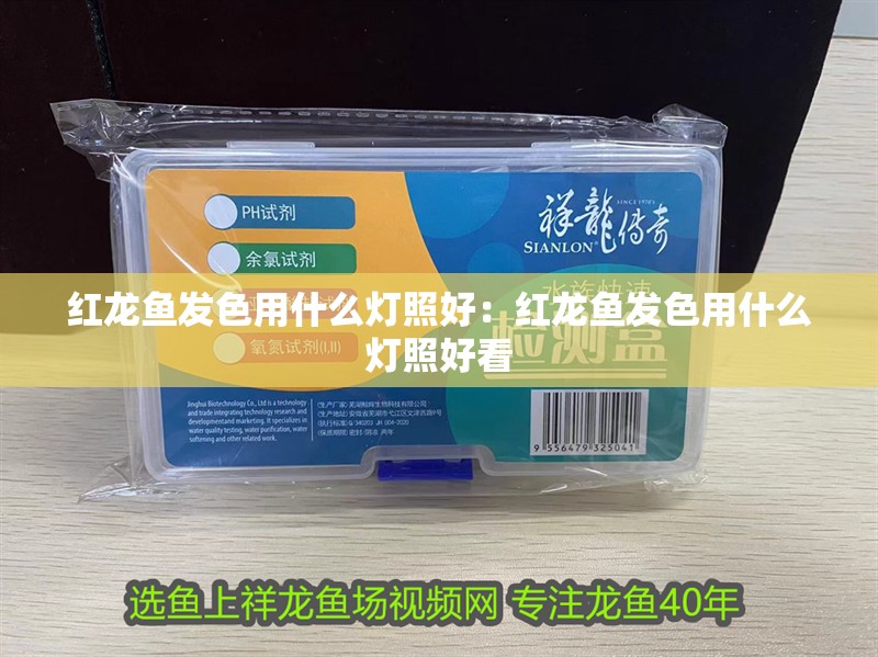 紅龍魚發色用什么燈照好：紅龍魚發色用什么燈照好看