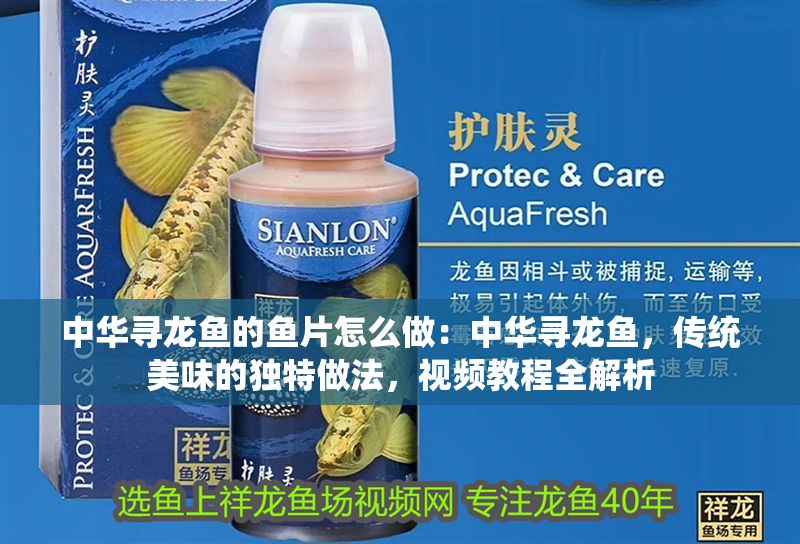 中華尋龍魚的魚片怎么做：中華尋龍魚，傳統美味的獨特做法，視頻教程全解析