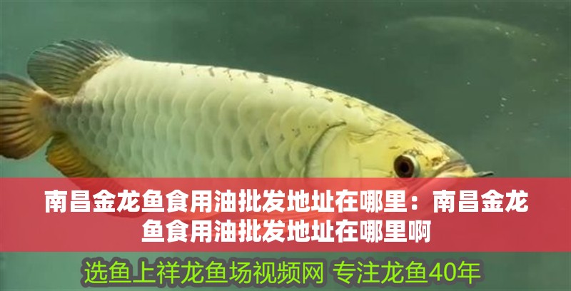 愛(ài)唯希魚(yú)缸怎么樣好用嗎視頻教學(xué)（愛(ài)唯希魚(yú)缸怎么樣好用嗎視頻教學(xué)全集）