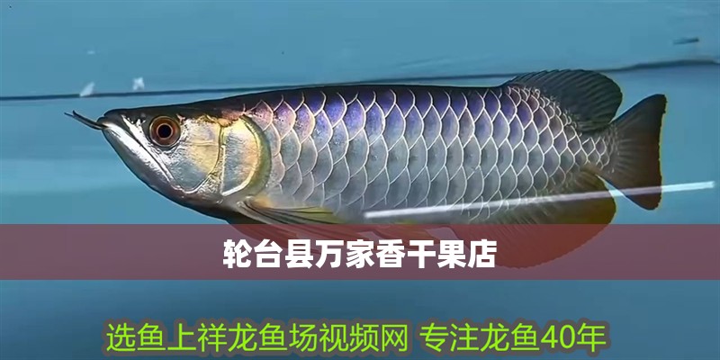 輪臺縣萬家香干果店
