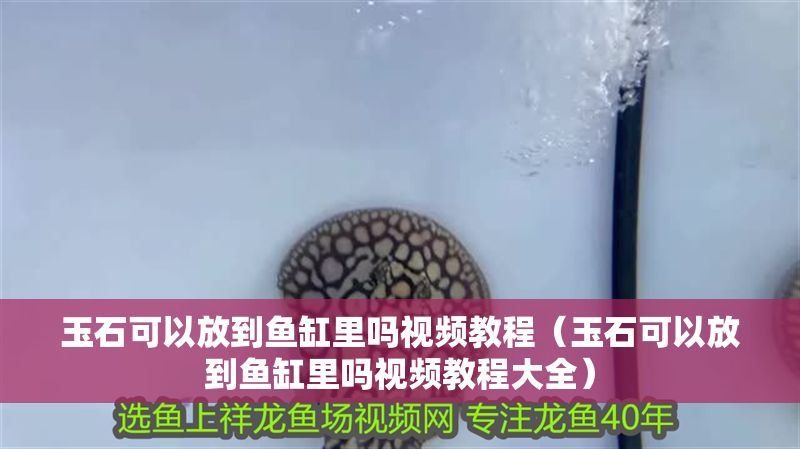 玉石可以放到魚缸里嗎視頻教程（玉石可以放到魚缸里嗎視頻教程大全）