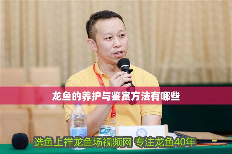 龍魚的養(yǎng)護(hù)與鑒賞方法有哪些