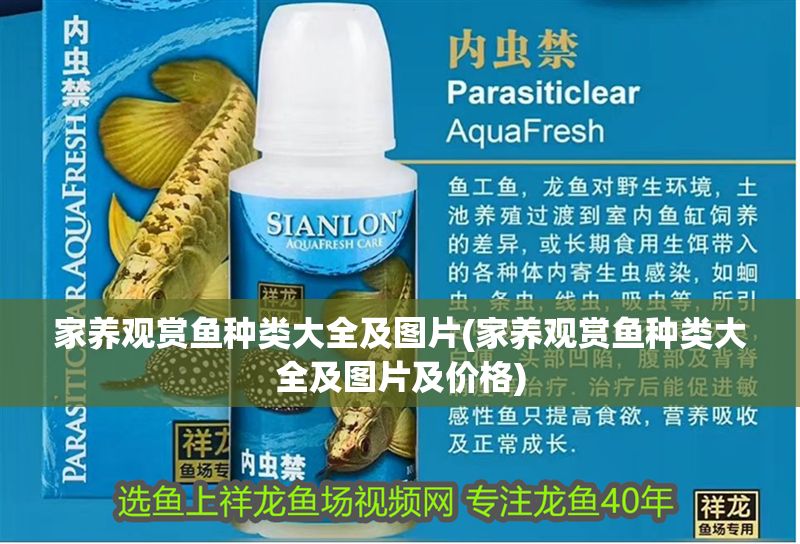 家養觀賞魚種類大全及圖片(家養觀賞魚種類大全及圖片及價格)