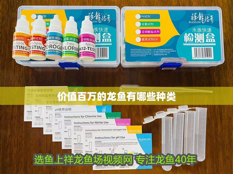 價值百萬的龍魚有哪些種類