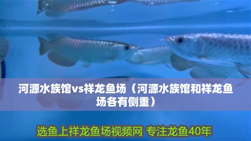 <strong><mark>河源</mark></strong>水族館vs祥龍魚場(chǎng)（<strong><mark>河源</mark></strong>水族館和祥龍魚場(chǎng)各有側(cè)重）