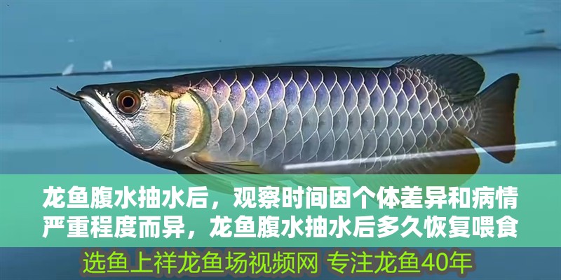 龍魚腹水抽水后，觀察時間因個體差異和病情嚴重程度而異，龍魚腹水抽水后多久恢復喂食龍魚腹水護理時間表