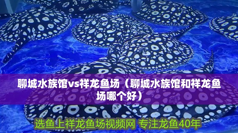 聊城水族館vs祥龍魚場（聊城水族館和祥龍魚場哪個好）