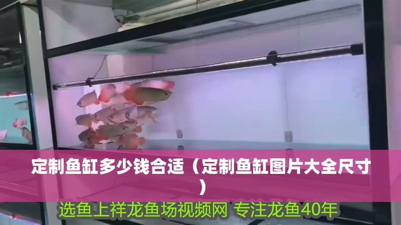 定制魚缸多少錢合適（定制魚缸圖片大全尺寸）