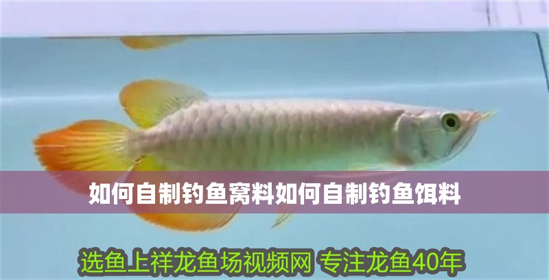 如何自制釣魚窩料如何自制釣魚餌料