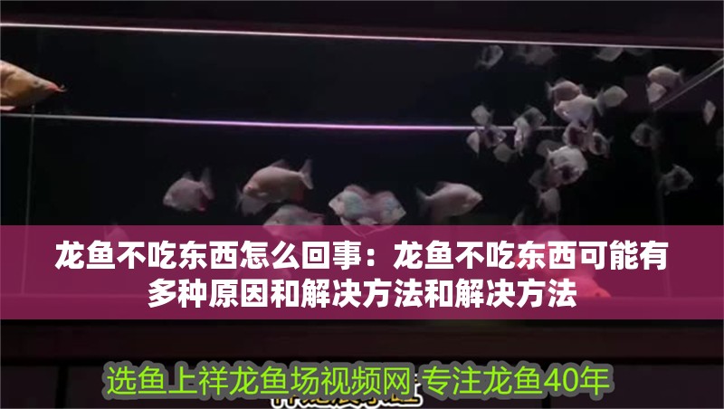 龍魚不吃東西怎么回事：龍魚不吃東西可能有多種原因和解決方法和解決方法