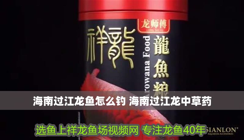 海南過江龍魚怎么釣 海南過江龍中草藥