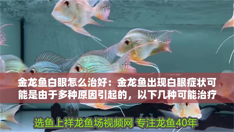 金龍魚白眼怎么治好：金龍魚出現白眼癥狀可能是由于多種原因引起的，以下幾種可能治療