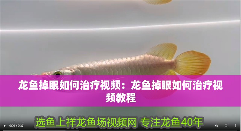 龍魚(yú)掉眼如何治療視頻：龍魚(yú)掉眼如何治療視頻教程