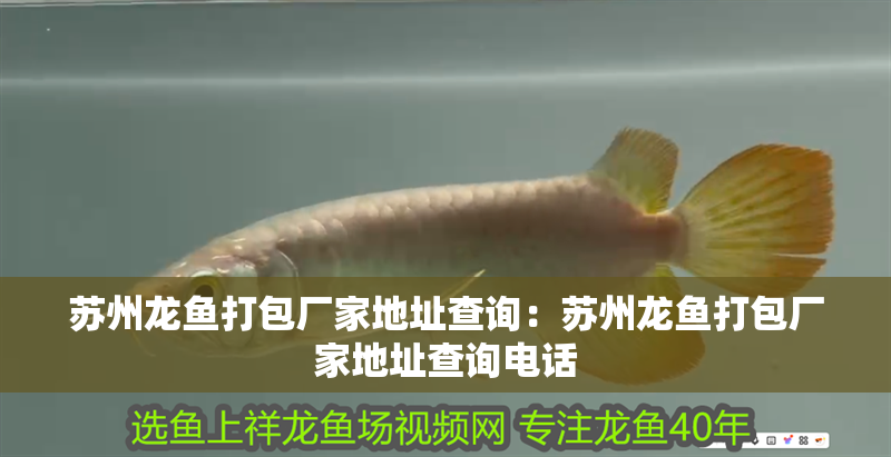 蘇州龍魚打包廠家地址查詢：蘇州龍魚打包廠家地址查詢電話