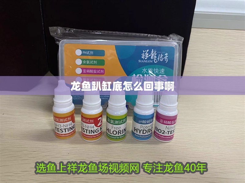 龍魚趴缸底怎么回事啊